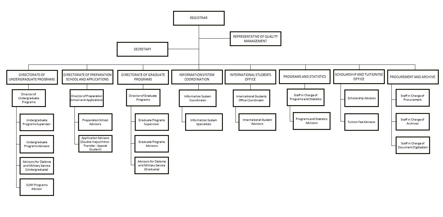 organizasyonşeması