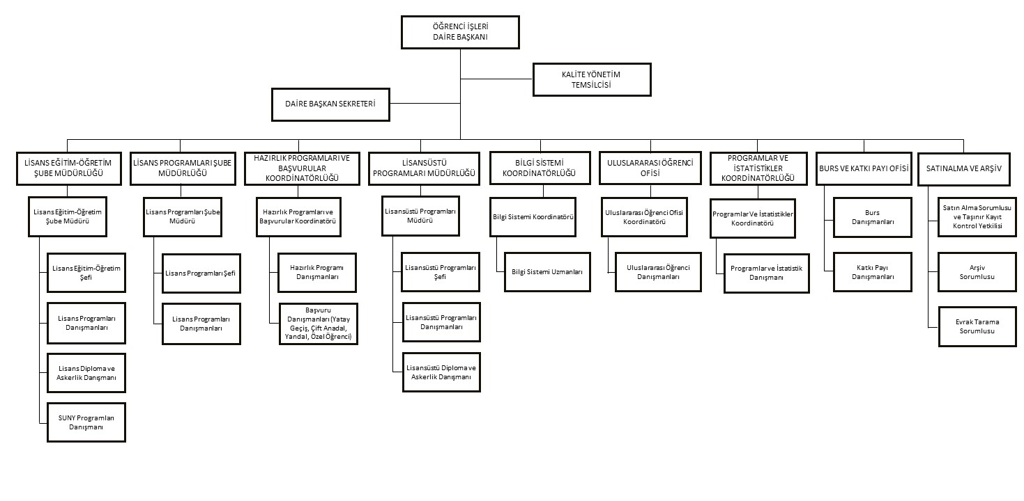 Orgzaniasyon Şeması TR